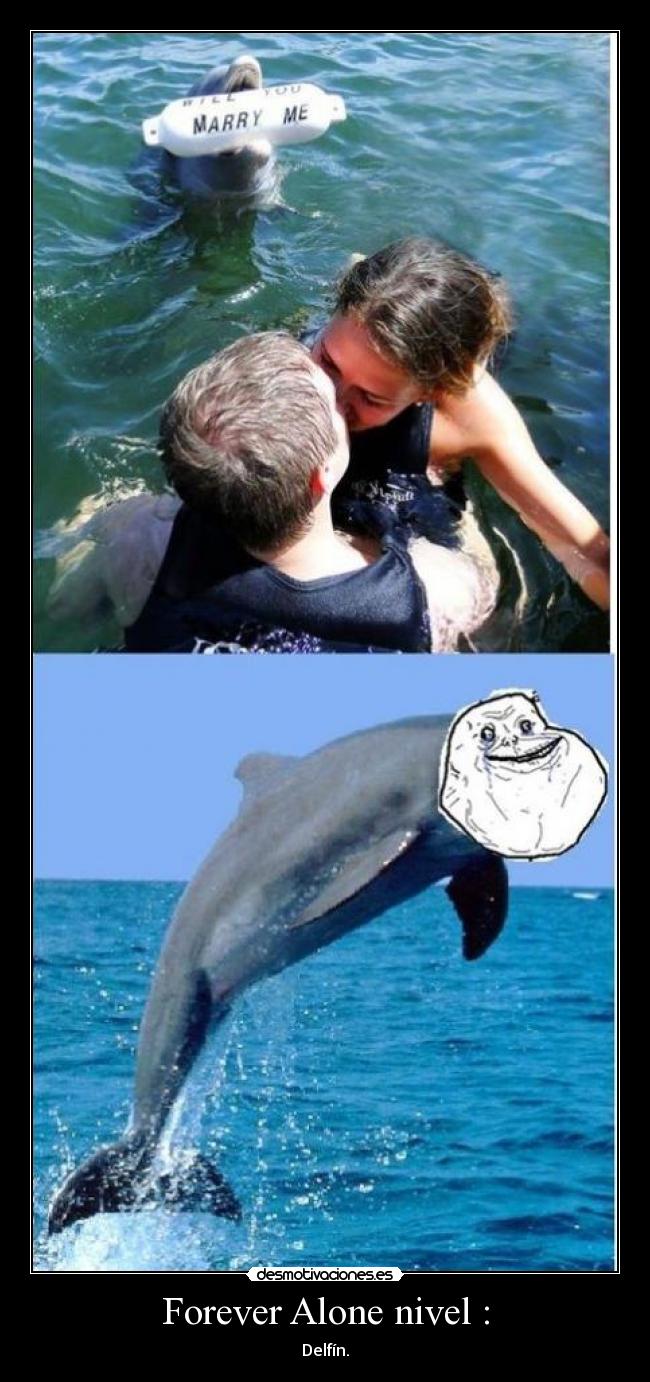 Forever Alone nivel : - Delfín.