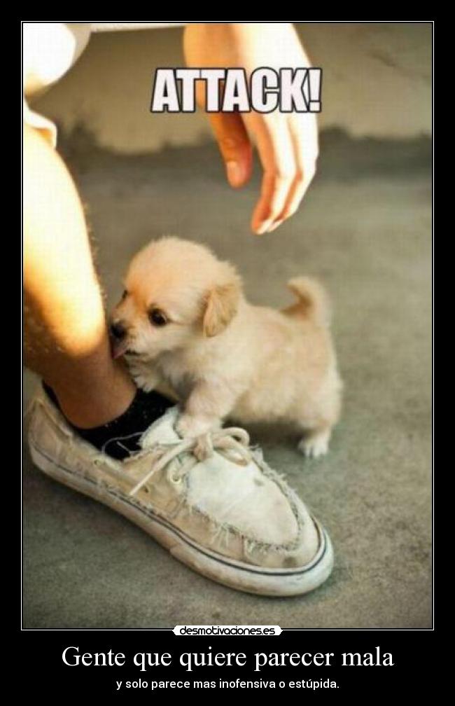 Gente que quiere parecer mala - y solo parece mas inofensiva o estúpida.