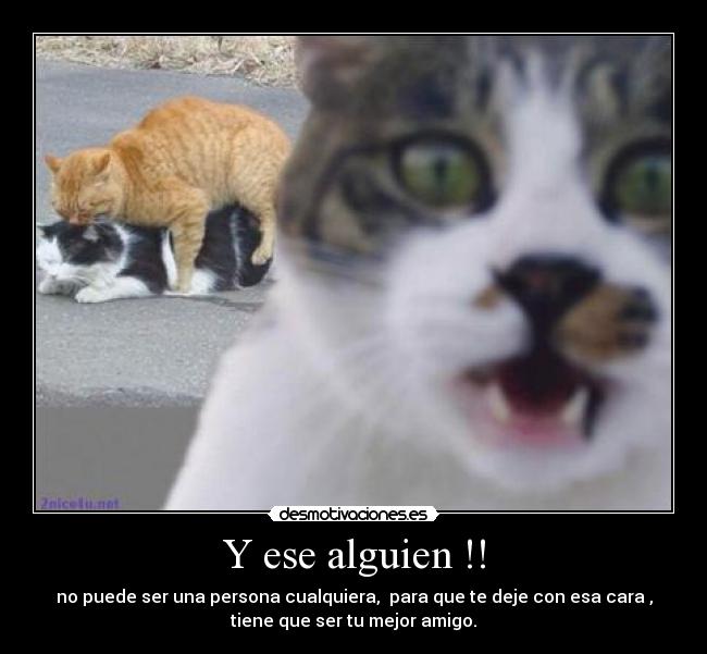 Y ese alguien !! - no puede ser una persona cualquiera, para que te deje con esa cara ,
tiene que ser tu mejor amigo.