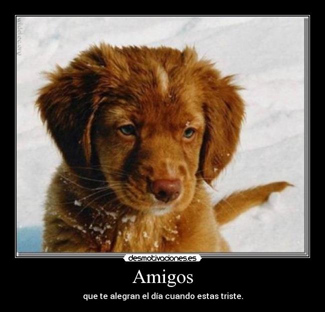 Amigos - que te alegran el día cuando estas triste.
