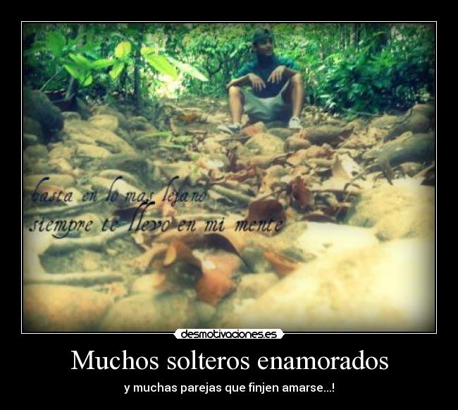 Muchos solteros enamorados -