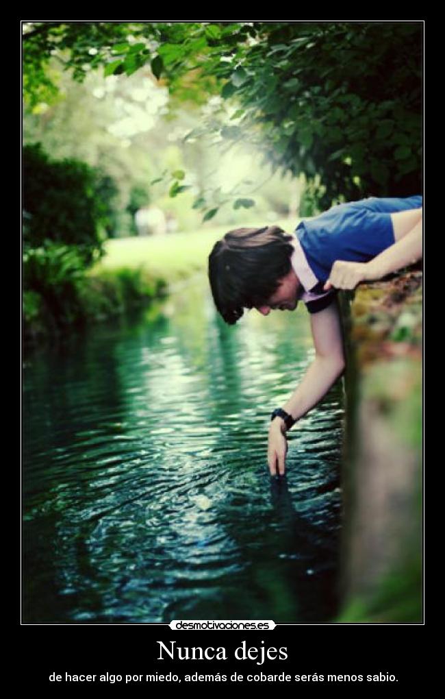 Nunca dejes - 