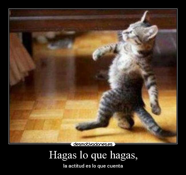 Hagas lo que hagas, -