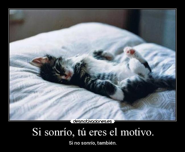 Si sonrío, tú eres el motivo. - Si no sonrío, también.