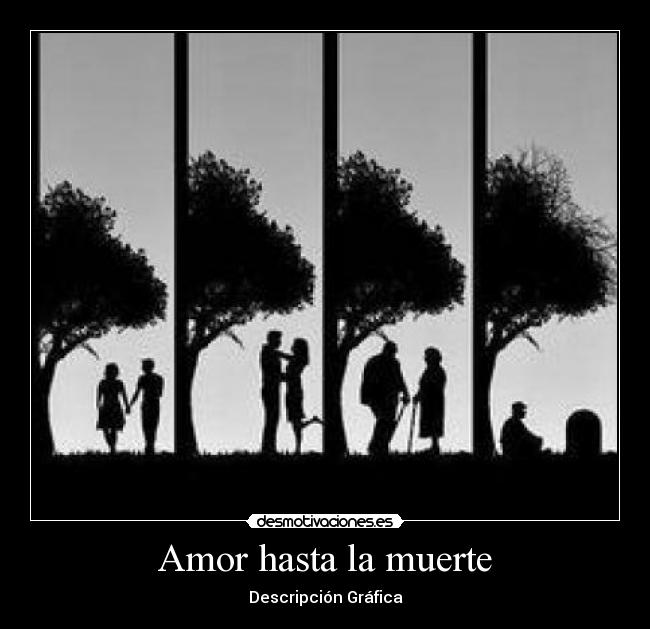 Amor hasta la muerte - Descripción Gráfica