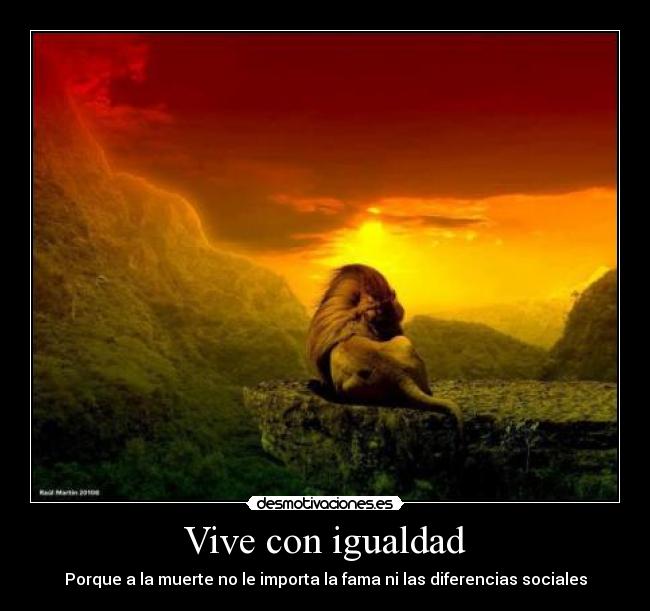 carteles igualdad muerte sociales desmotivaciones