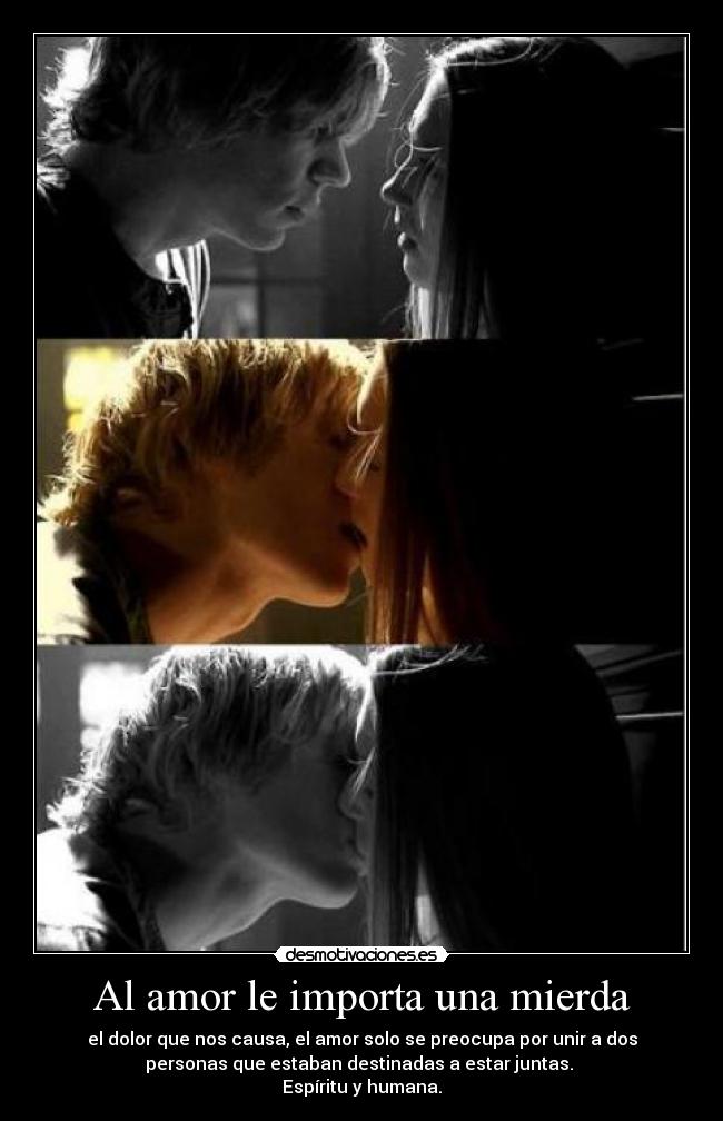 carteles amor american horror story desmotivaciones