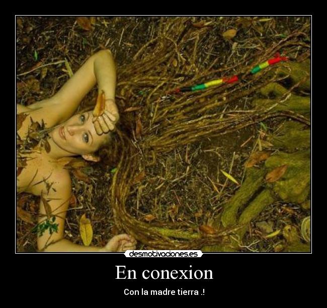 carteles samee desmotivaciones