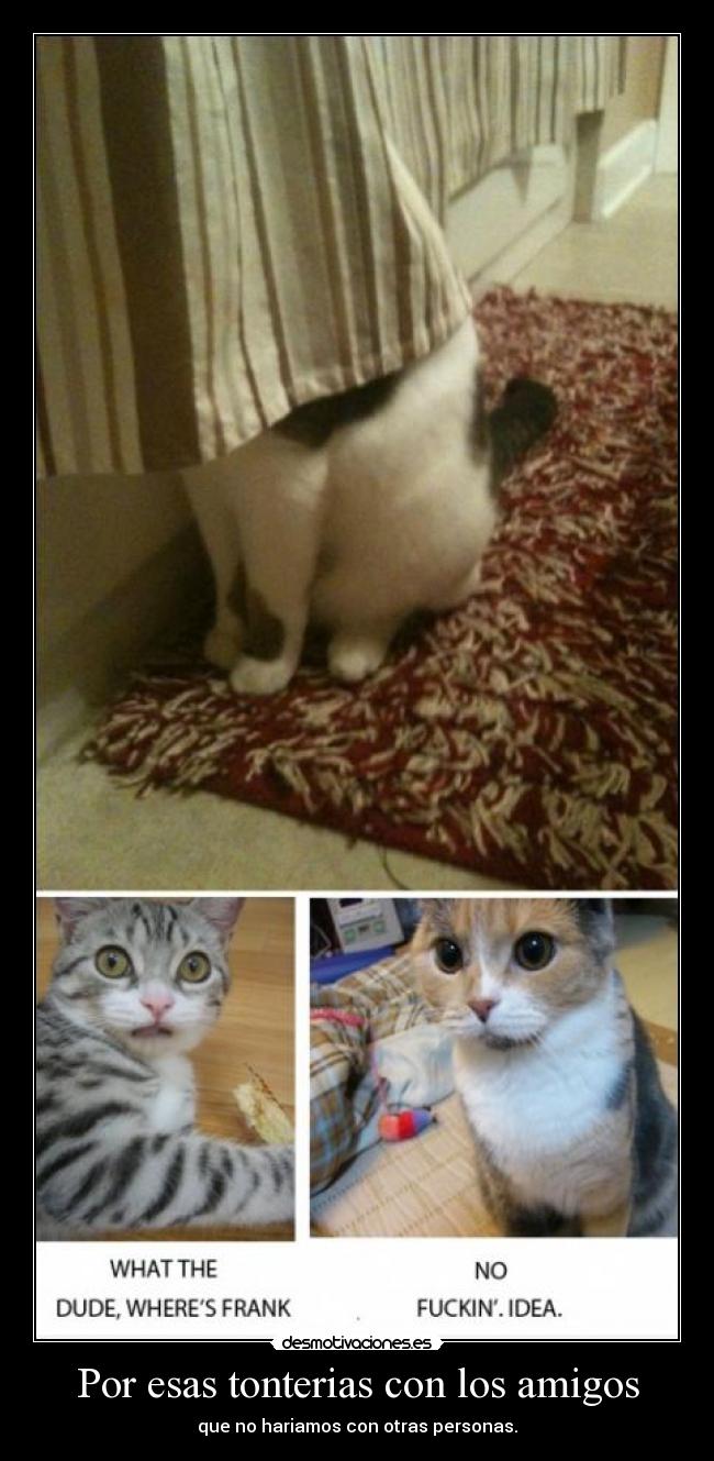carteles amigos tbp desmotivaciones