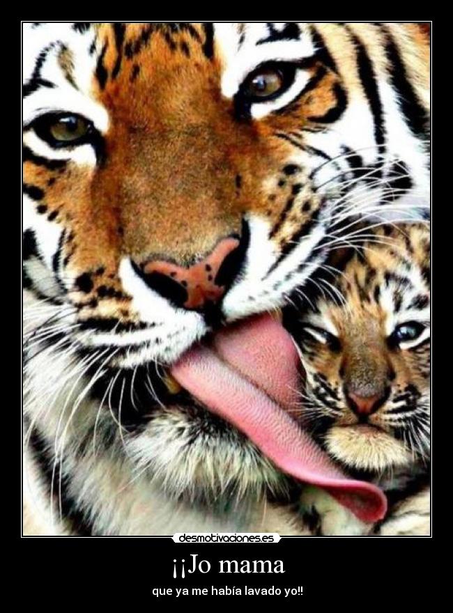 carteles mama desmotivaciones