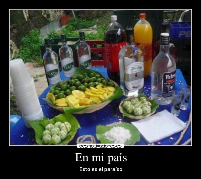 En mi país - 