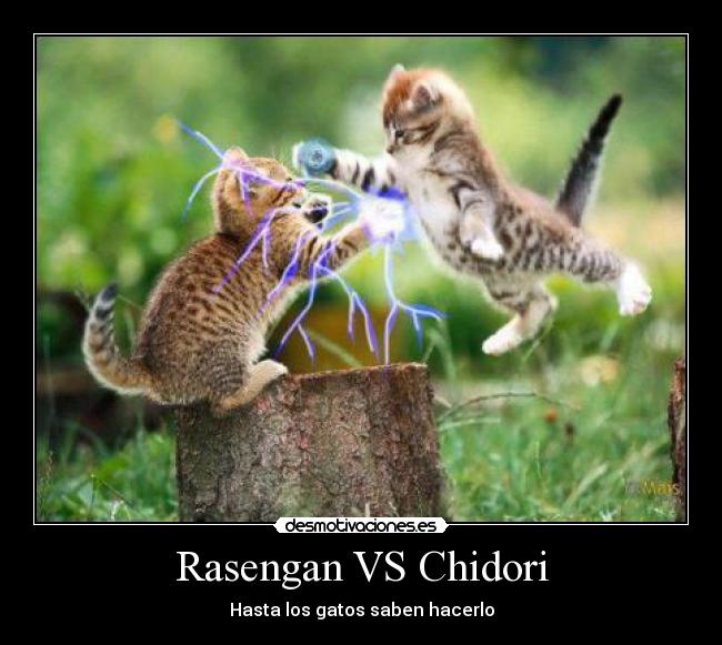 Rasengan VS Chidori - Hasta los gatos saben hacerlo