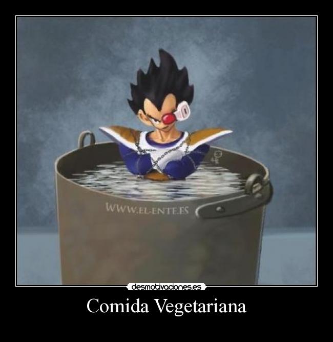 Comida Vegetariana -
