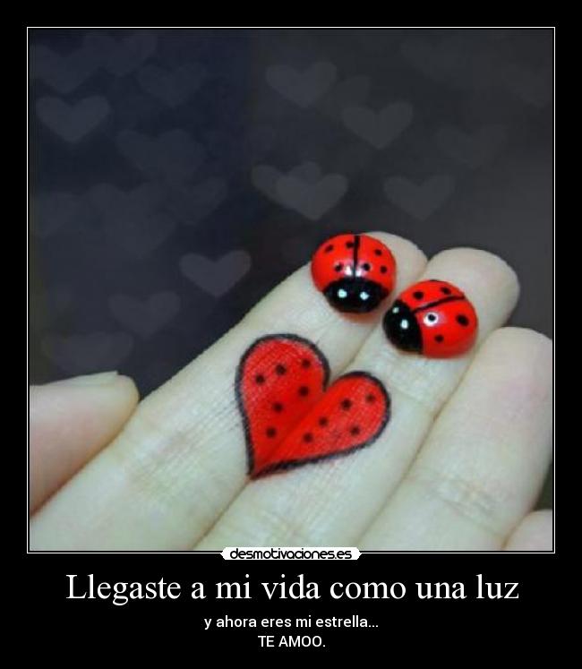 Llegaste a mi vida como una luz -