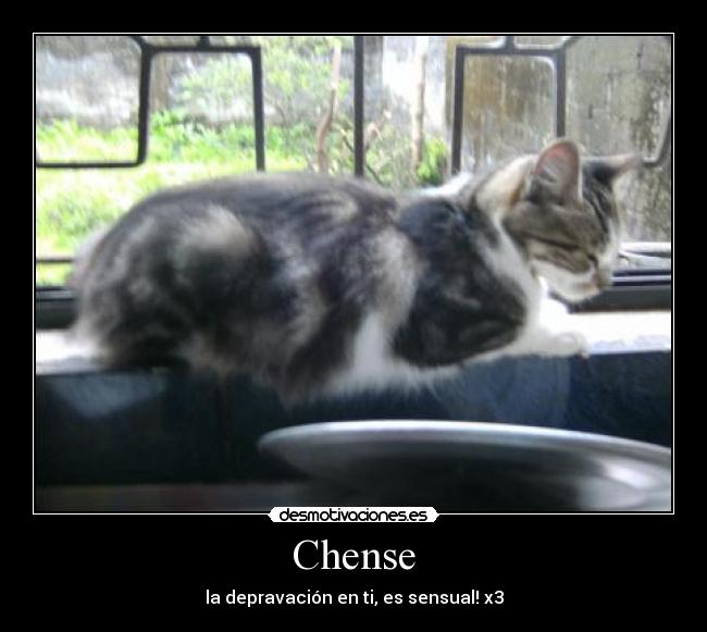 Chense - la depravación en ti, es sensual! x3