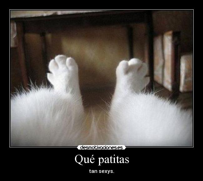 Qué patitas - tan sexys.