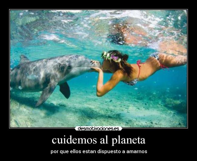cuidemos al planeta - por que ellos estan dispuesto a amarnos