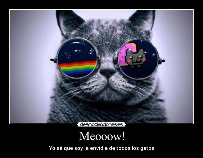 Meooow! - 
