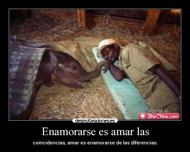 Enamorarse es amar las - coincidencias, amar es enamorarse de las diferencias.