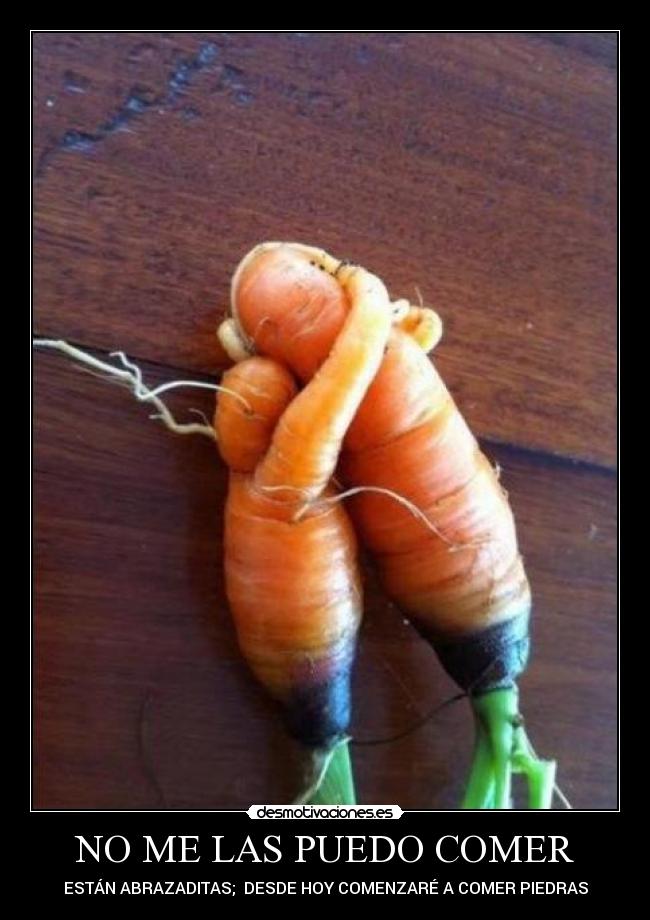 NO ME LAS PUEDO COMER - ESTÁN ABRAZADITAS; DESDE HOY COMENZARÉ A COMER PIEDRAS