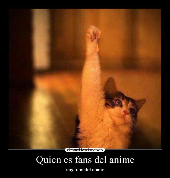Quien es fans del anime - 