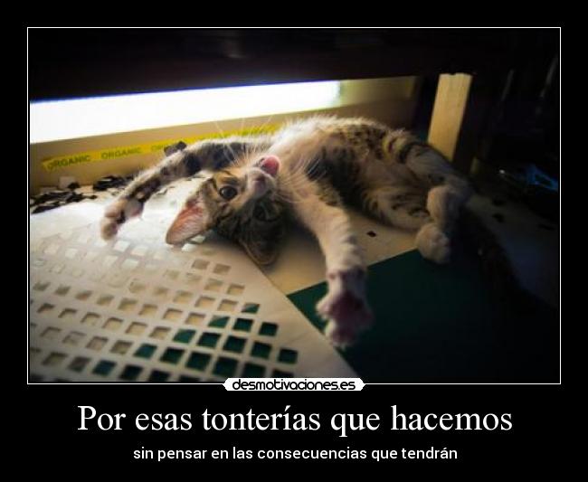 Por esas tonterías que hacemos -