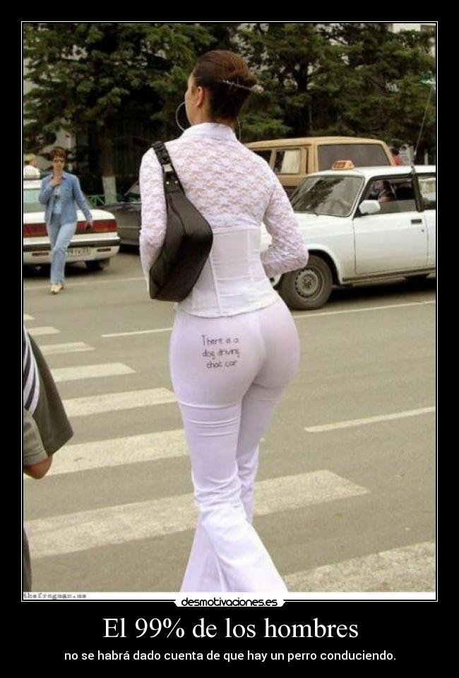 El 99% de los hombres - no se habrá dado cuenta de que hay un perro conduciendo.