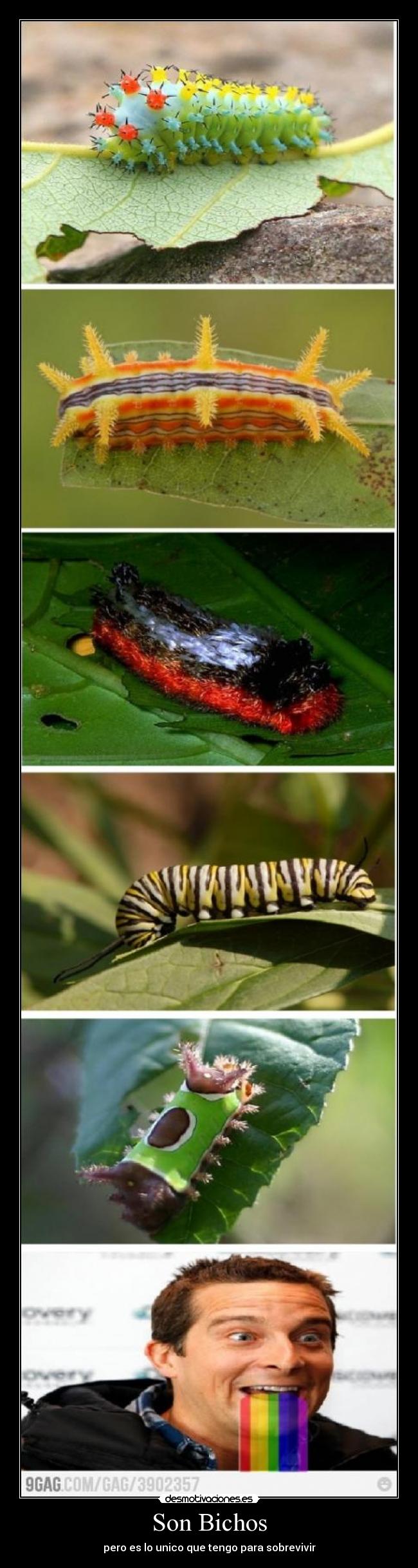 carteles jajaajajaj desmotivaciones