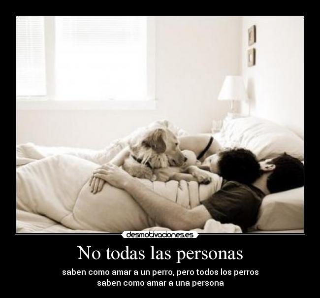 No todas las personas - saben como amar a un perro, pero todos los perros
saben como amar a una persona