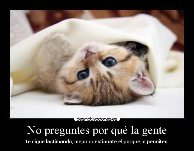 No preguntes por qué la gente - te sigue lastimando, mejor cuestionate el porque lo permites.