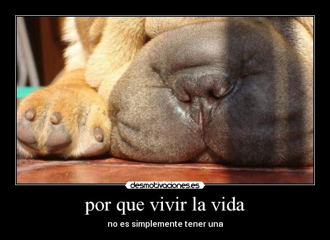 por que vivir la vida - no es simplemente tener una