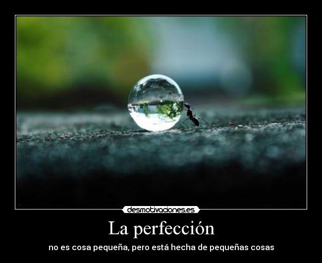 carteles perfeccion desmotivaciones