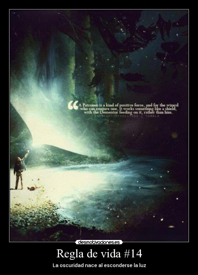 Regla de vida #14 - 