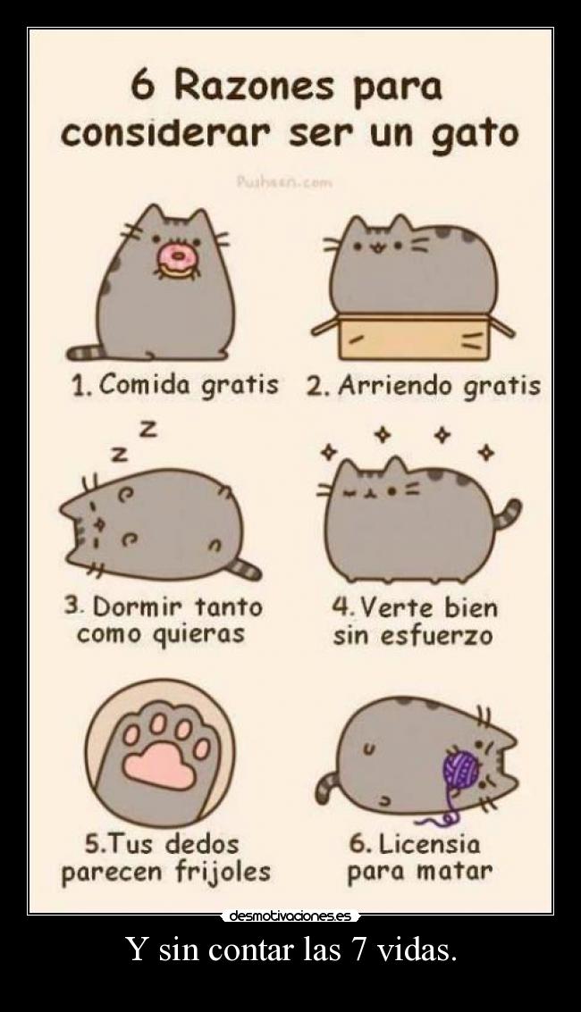 Y sin contar las 7 vidas. -