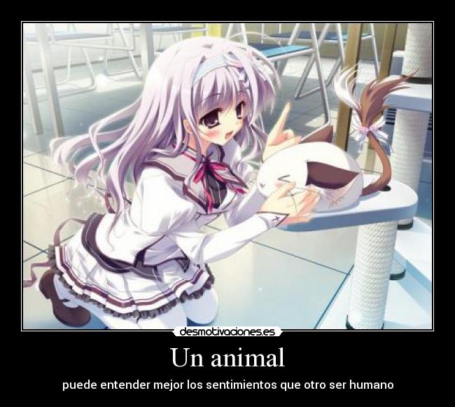 Un animal -