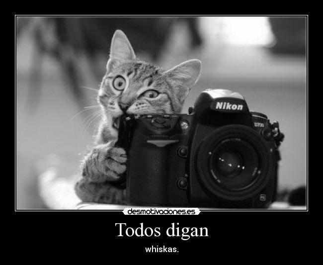 Todos digan - whiskas.