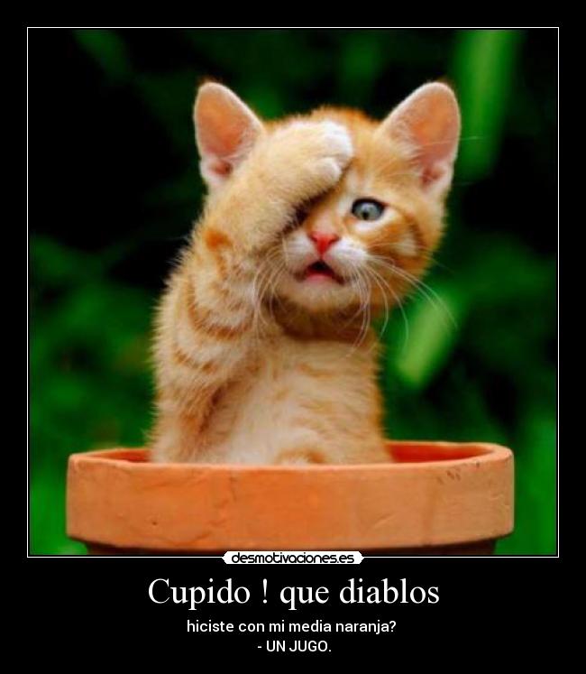 Cupido ! que diablos - 