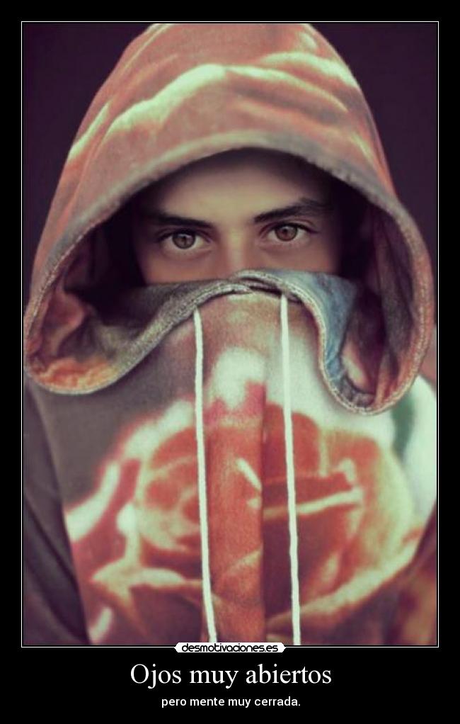 carteles topocerdo brwfh ojos abiertos mente cerrada desmotivaciones