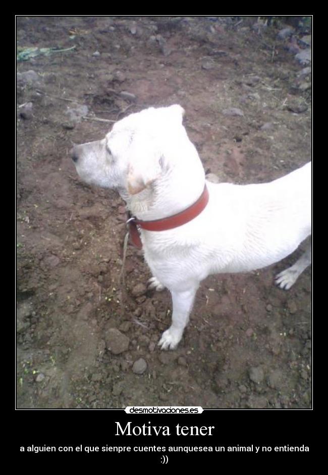 Motiva tener - a alguien con el que sienpre cuentes aunquesea un animal y no entienda :))