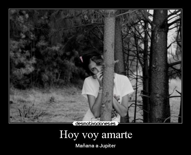 carteles pienso amar pendejo mierda desmotivaciones