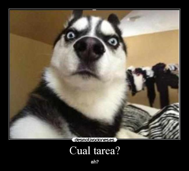 Cual tarea? - ah?