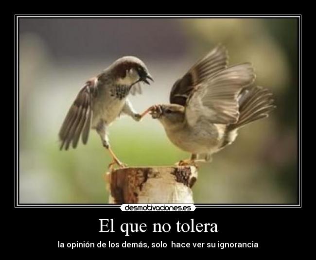 El que no tolera - 