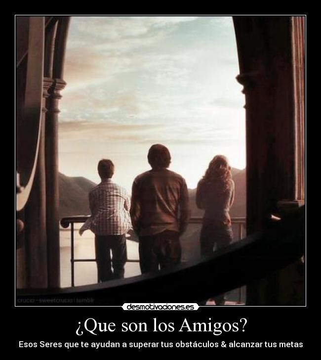 ¿Que son los Amigos? -
