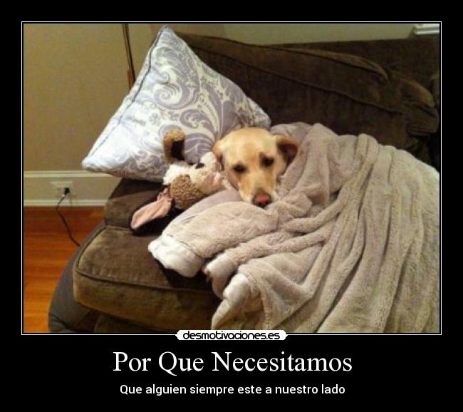 Por Que Necesitamos -
