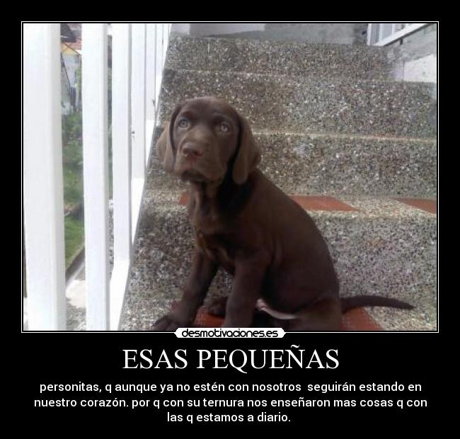 carteles ternura desmotivaciones