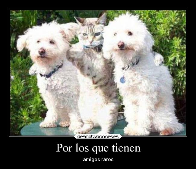 Por los que tienen -