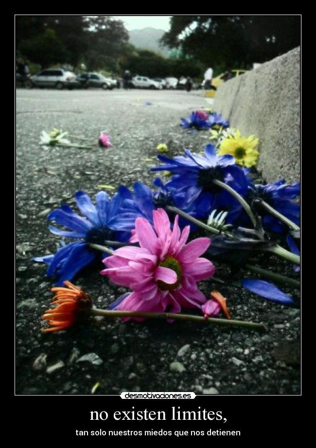 no existen limites, -