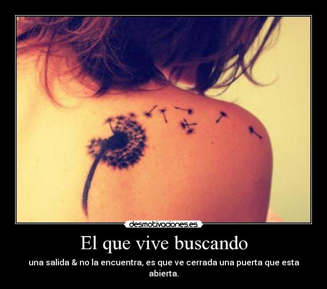 El que vive buscando - 