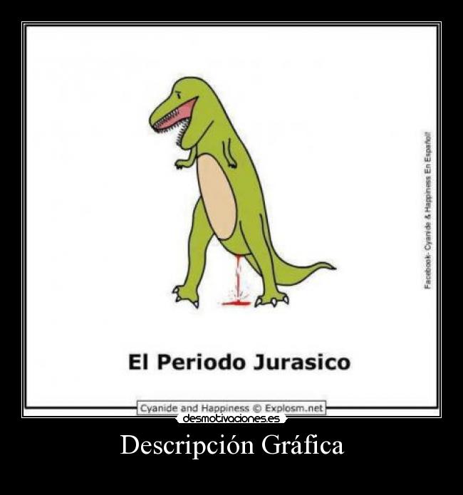 Descripción Gráfica - 