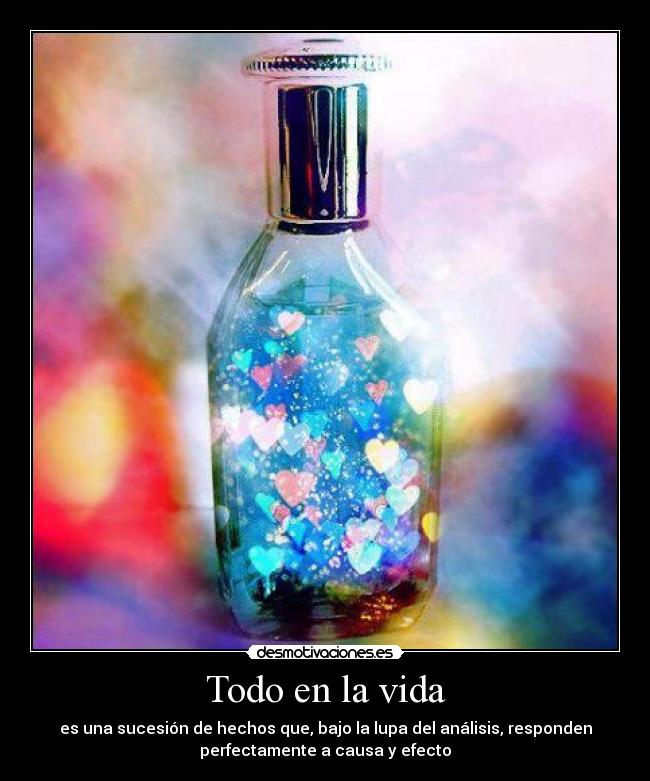 Todo en la vida - es una sucesión de hechos que, bajo la lupa del análisis, responden
perfectamente a causa y efecto